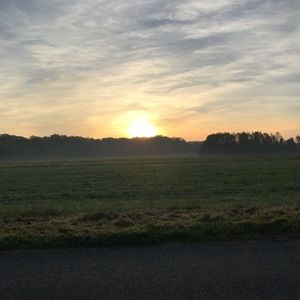 Meet your Posher, Cielo